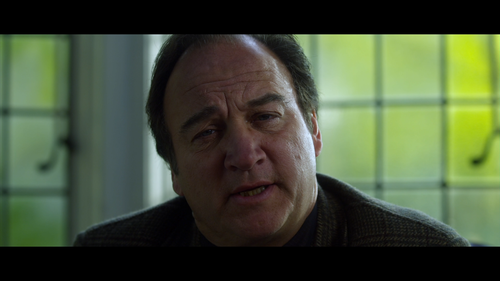 COUGARS INC James Belushi