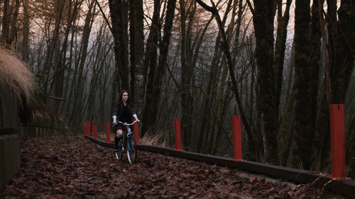 DAYDREAM NATION Forest DAYDREAM NATION Forest