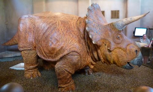 Islands of Adventure 16