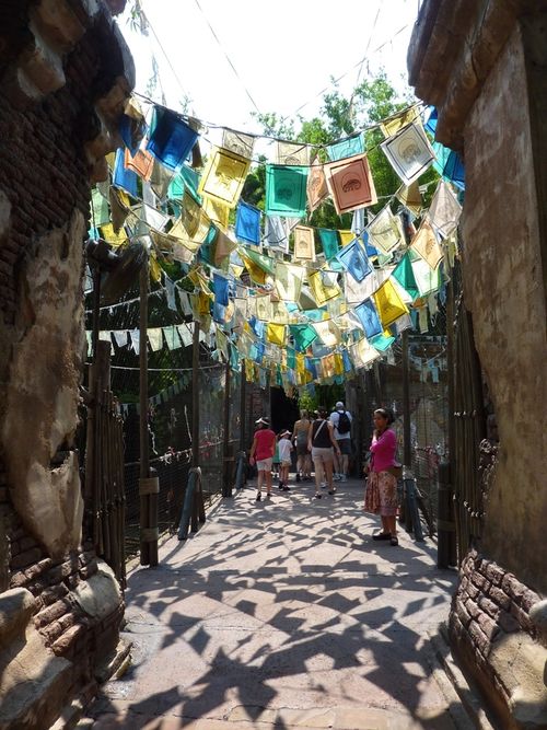 DISNEY'S ANIMAL KINGDOM 12