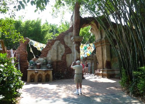 DISNEY'S ANIMAL KINGDOM 11