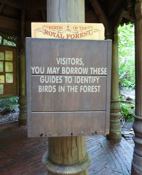 DISNEY'S ANIMAL KINGDOM 13