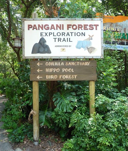 DISNEY'S ANIMAL KINGDOM 25