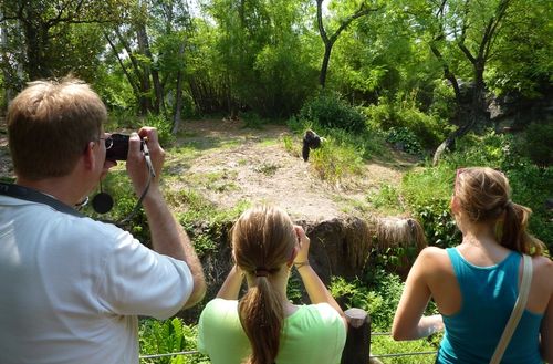 DISNEY'S ANIMAL KINGDOM 24