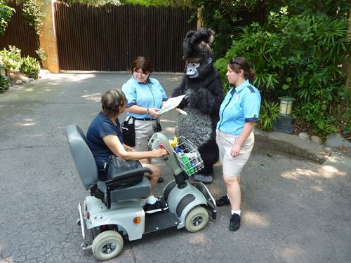 DISNEY'S ANIMAL KINGDOM 26