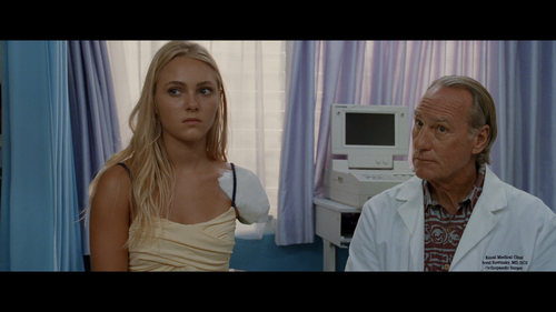 SOUL SURFER Craig T. Nelson