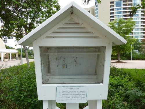 Disney's Contemporary Resort 8