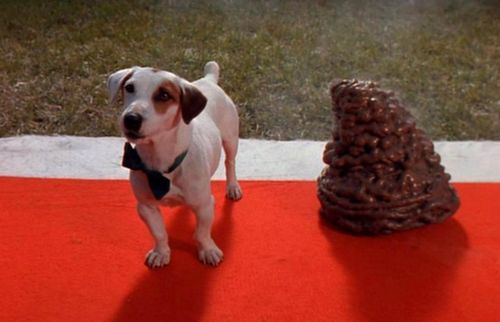 PROBLEM CHILD 2 Dog Poop PROBLEM CHILD 2 Dog Poop