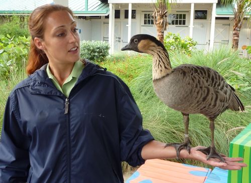 Sea World Orlando 28