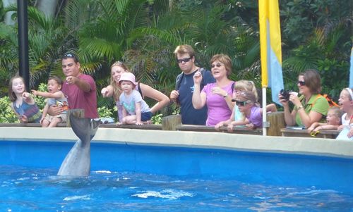 Sea World Orlando 2