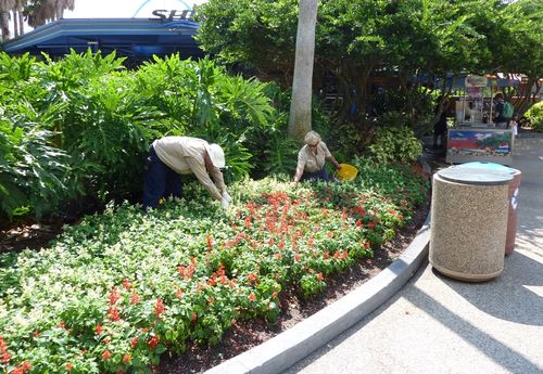 Sea World Orlando 10