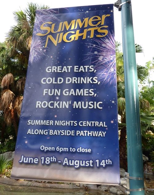 Sea World Orlando 12