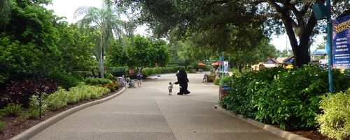 Sea World Orlando 20