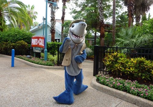 Sea World Orlando 25