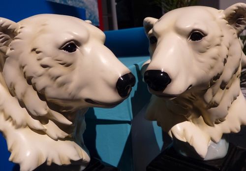 Sea World Orlando 27