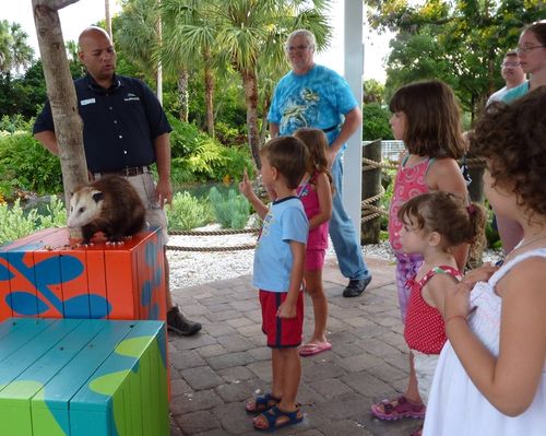 Sea World Orlando 29