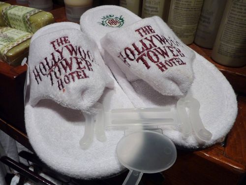 Disney's Hollywood Studios 10