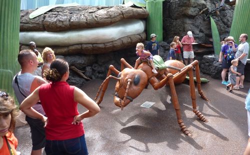 Disney's Hollywood Studios 27