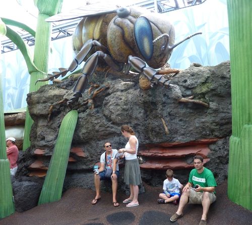 Disney's Hollywood Studios 21