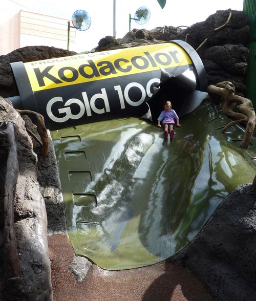 Disney's Hollywood Studios 22