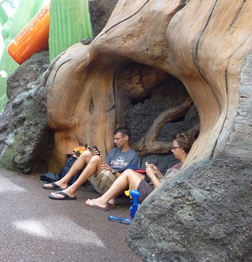 Disney's Hollywood Studios 23