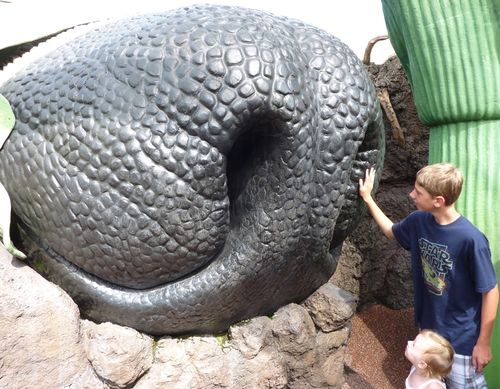 Disney's Hollywood Studios 26