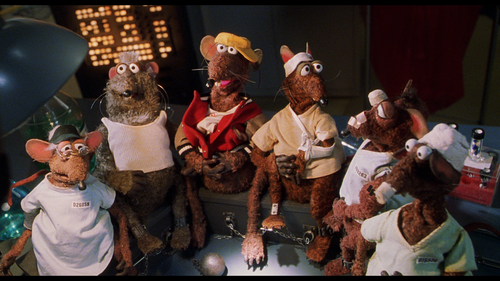 MUPPETS FROM SPACE Rizzo MUPPETS FROM SPACE Rizzo