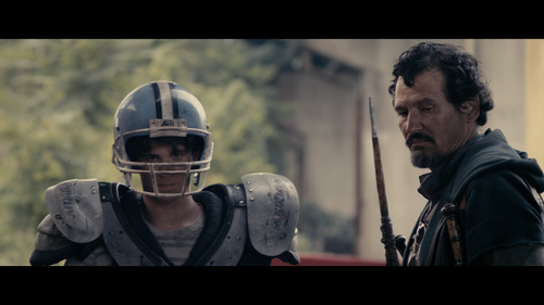 STAKE LAND Connor Paolo