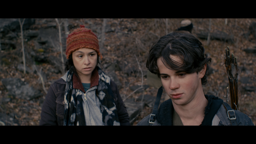 STAKE LAND Danielle Harris