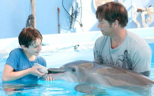 DOLPHIN'S TALE Winter