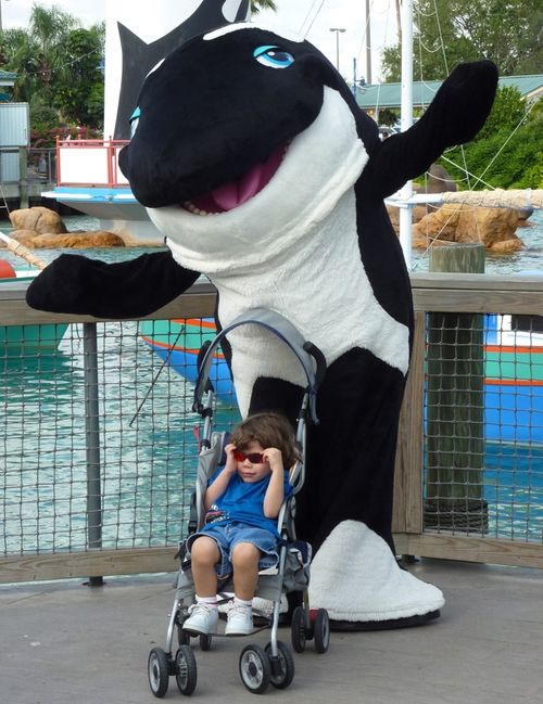 SEA WORLD ORLANDO 17