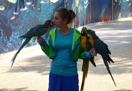 SEA WORLD ORLANDO 10