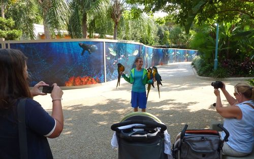 SEA WORLD ORLANDO 11