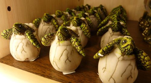 SEA WORLD ORLANDO 15