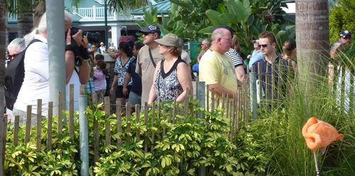 SEA WORLD ORLANDO 13