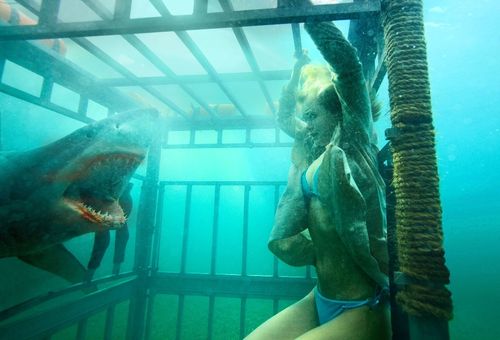 SHARK NIGHT 3D Shark