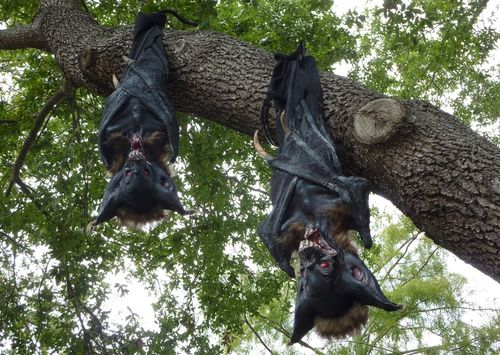 UNIVERSAL HALLOWEEN HORROR NIGHTS 2011 2