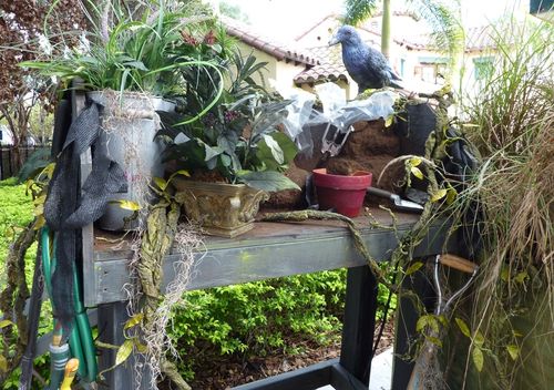 UNIVERSAL HALLOWEEN HORROR NIGHTS 2011 98