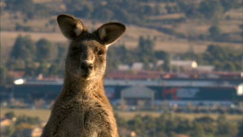 00002.m2ts_snapshot_07.16_[2012.02.17_14.18.30]