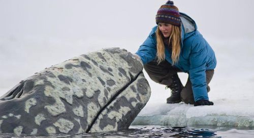 BIG MIRACLE Still 1 BIG MIRACLE Still 1