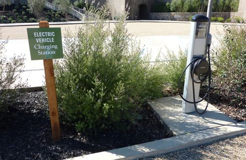 Francis Ford Coppola Winery Still 2