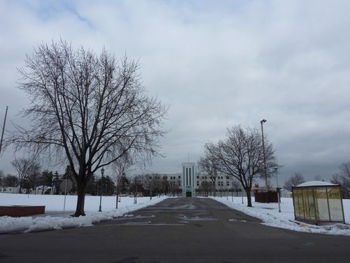 Minnesota State Fair 17