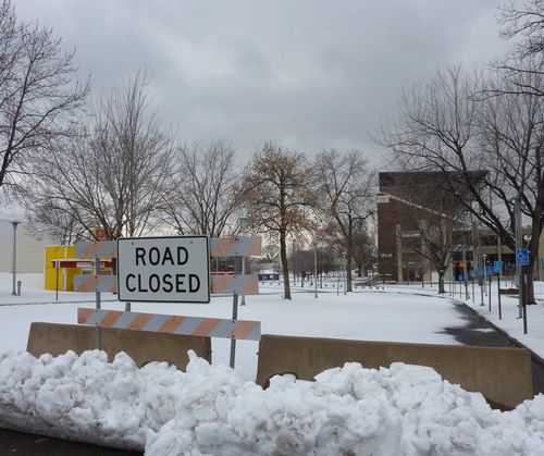 Minnesota State Fair 19