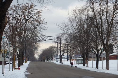Minnesota State Fair 21