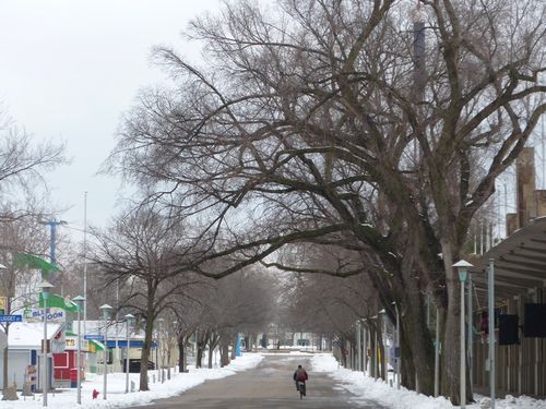 Minnesota State Fair 31