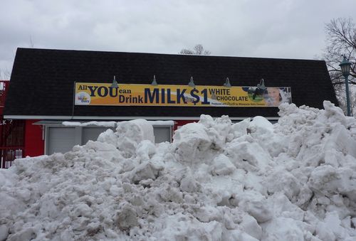 Minnesota State Fair 34