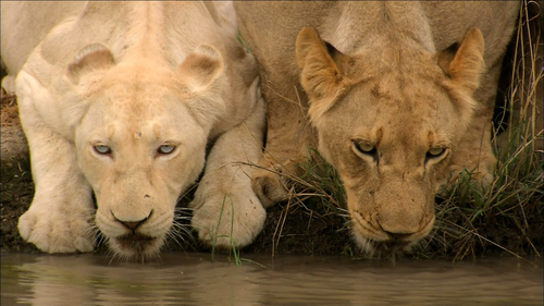 00002.m2ts_snapshot_30.57_[2012.06.26_12.09.26]