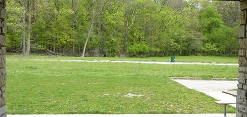 UNCLE BUCK Today Bug Woods 2