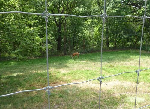 Schells Brewing Company New Ulm 15