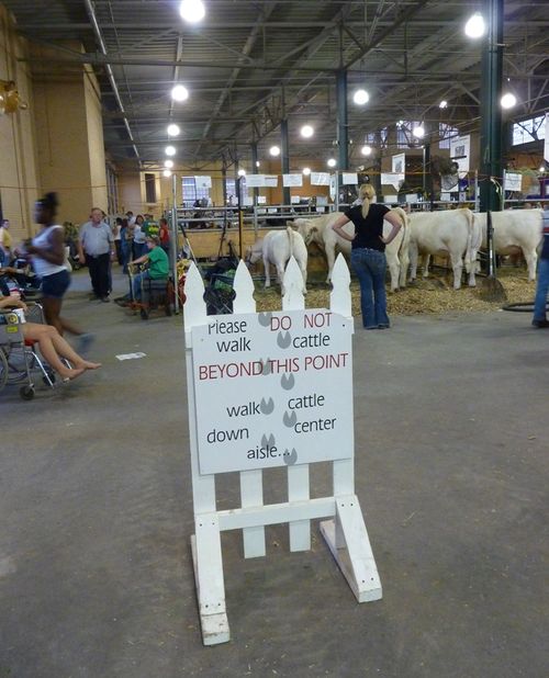 Minnesota State Fair 11